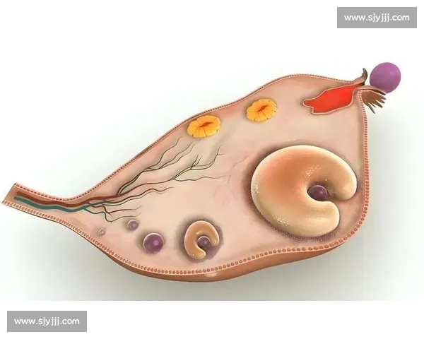 梦魇突袭！科学解析与实用应对指南